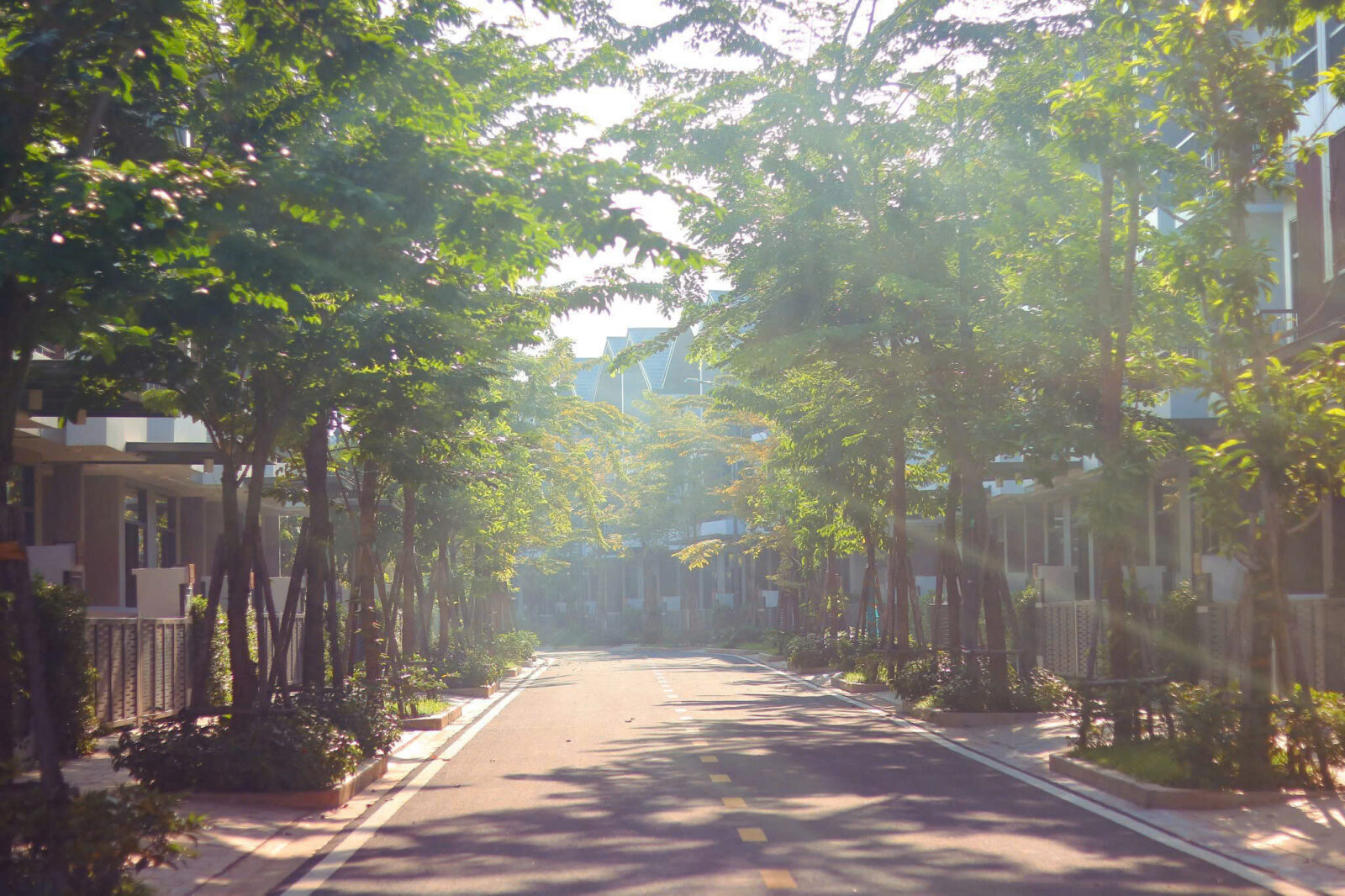 ID Junction 40,7ha - nơi trở về thiên nhiên giữa đô thị sân bay quốc tế Long Thành 4 Con đường đầy nắng và cây xanh